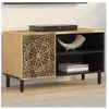 vidaXL Meuble TV 80x31x46 cm bois massif de manguier
