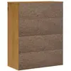 vidaXL Dessus pour buffet haut avec porte vitrée FLAM bois massif pin