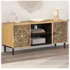 vidaXL Meuble TV 105x33x46 cm Bois massif de manguier