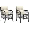 vidaXL Chaises de jardin avec coussins 2 pcs noir résine tressée