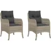vidaXL Chaises de jardin coussins lot de 2 gris clair résine tressée