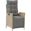 vidaXL Chaise inclinable de jardin et repose-pied mélange beige rotin
