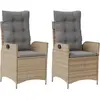 vidaXL Chaises inclinables jardin lot de 2 et coussins résine tressée