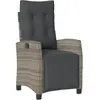 vidaXL Chaise inclinable de jardin et repose-pied gris résine tressée