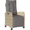 vidaXL Chaise inclinable de jardin et repose-pied mélange beige rotin