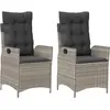vidaXL Chaises inclinables jardin lot de 2 et coussins résine tressée