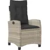 vidaXL Chaise inclinable de jardin coussins gris clair résine tressée