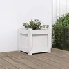 vidaXL Jardinière blanc 31x31x31 cm bois de pin massif
