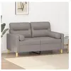 vidaXL Canapé 2 places avec oreillers décoratifs taupe 120 cm tissu