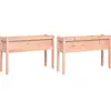 vidaXL Jardinières 2 pcs avec pieds bois massif douglas