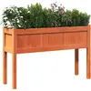 vidaXL Jardinières avec pieds et pieds 110x31x70 cm bois de pin massif