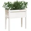 vidaXL Jardinières avec pieds blanc 70x31x70 cm bois de pin massif