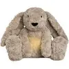 Bibi le lapin avec entraîneur de sommeil Taupe