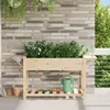 vidaXL Cache-pot de jardin avec étagère Beige 155 x 59 x 76,5 cm