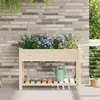 vidaXL Cache-pot de jardin avec étagère Beige 115 x 59 x 76,5 cm