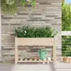vidaXL Cache-pot de jardin avec étagère Beige 115 x 59 x 76,5 cm