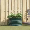 vidaXL Lit de Jardin Vert 80 x 80 x 44 cm Acier