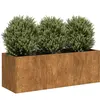 vidaXL Jardinière rouillé 120x40x40 cm acier inoxydable