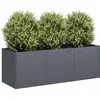 vidaXL Jardinière anthracite 120x40x40 cm acier laminé à froid