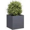 vidaXL Jardinière anthracite 40x40x40 cm acier laminé à froid