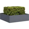 vidaXL Jardinière anthracite 100x100x30 cm acier