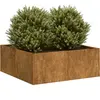 vidaXL Jardinière rouillé 80x80x30 cm acier inoxydable