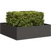 vidaXL Jardinière noir 100x100x30 cm acier