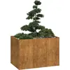 vidaXL Jardinière rouillé 120x80x80 cm acier inoxydable