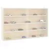 vidaXL Vitrine murale avec portes 60x8,5x37 cm
