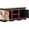 vidaXL Meuble TV Multicolore 100 x 35 x 50 cm Bois de mangue massif