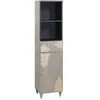 vidaXL Buffet Gris 38 x 33.5 x 160 cm Bois de manguier massif