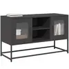 vidaXL Meuble TV noir 100,5x39x60,5 cm acier