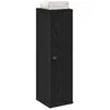 vidaXL Meuble de salle de bain avec porte-rouleau noir 20,5x22x72 cm