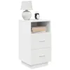 vidaXL Table de chevet avec 2 tiroirs blanc 36x36x68 cm