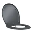 vidaXL Siège de toilette Anthracite 44,8 x 37,3 x 4,2 cm Duroplast