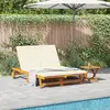 vidaXL Transat 2-personne Marron 63 x 199 x 85 cm Bois d'Acacia Massif