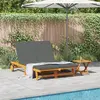 vidaXL Transat 2-personne Marron 63 x 199 x 85 cm Bois d'Acacia Massif