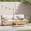 vidaXL Transat Huile Naturelle 200 x 57 x 75cm Bois d'acacia massif