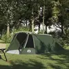 vidaXL Tente tunnel avec toit Vert et blanc 328 x 228 x 115 cm