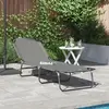 vidaXL Vidaxl Transat Pliant Portable Gris En Tissu Oxford 600d