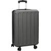 vidaXL valise pliable coque rigide 24'' gris foncé 43x27x66 cm ABS