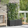 vidaXL Jardinières Vidaxl Avec Système D'irrigation Par Eau 2 Pcs Noir