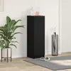 vidaXL Cabinet à chaussures avec étagère Chêne noir 29,5 x 35 x 101 cm