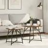 vidaXL Ensemble de tables d'appoint 2 pcs Chêne fumé et noir