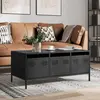 vidaXL Table basse noir 101,5x50x43,5 cm acier laminé à froid