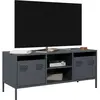 vidaXL Meuble TV anthracite 101,5x39x43,5 cm acier laminé à froid