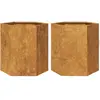 vidaXL Jardinières 2 pcs hexagone 46x40x45 cm acier corten