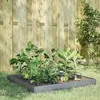 vidaXL Lit surélevé de jardin 100x100x18,5 cm acier inoxydable