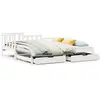 vidaXL Lit de jour et lit gigogne et tiroirs 90x190 cm bois pin massif