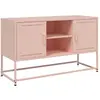 vidaXL Meuble TV rose 100,5x39x60,5 cm acier